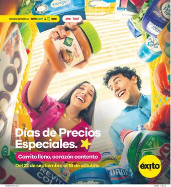flyer-cover
