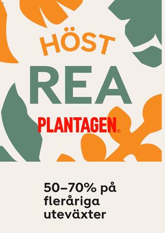 flyer-cover