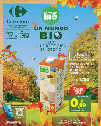 flyer-cover