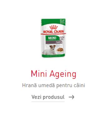 Royal Canin catalog (valid până la 4-10)