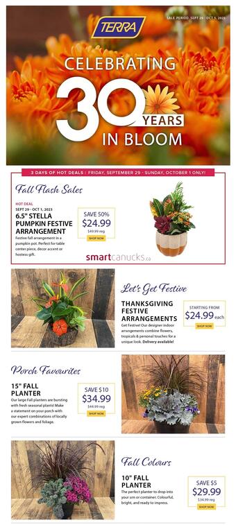 Terra Green Houses flyer (valid until 5-10)