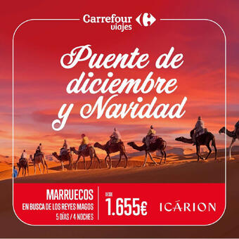 Folleto Carrefour Viajes (válido hasta el 1-01)