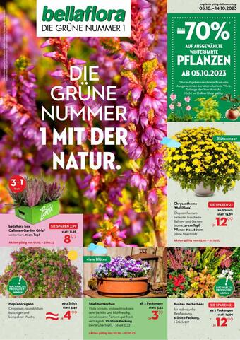 flyer-cover