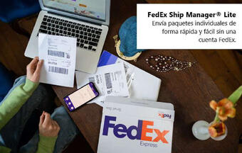 Catálogo FedEx (válido hasta 9-01)