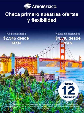 Catálogo Aeromexico (válido hasta 26-12)