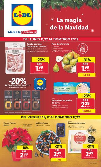 Folleto Lidl (válido hasta el 17-12)