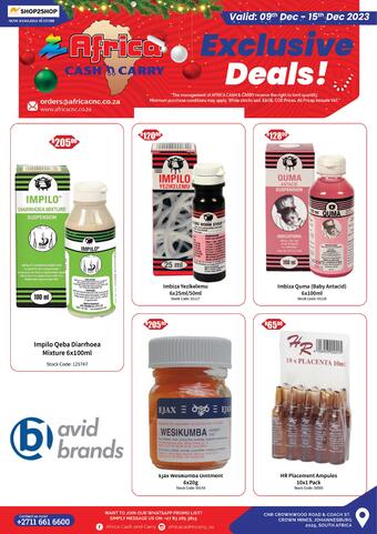 Africa Cash and Carry catalogue - DIY (valid until 15-12)