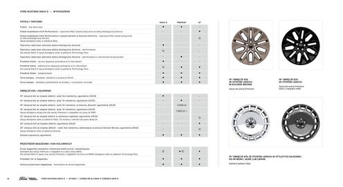 Ford Mustang Mach-E gazetka | Mustang Mach-E Strona 18