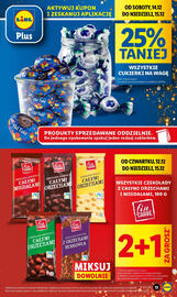 Lidl gazetka Strona 13