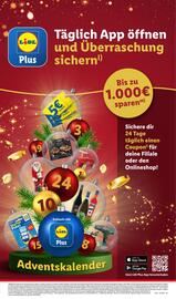 Lidl Prospekt woche 52 Seite 11