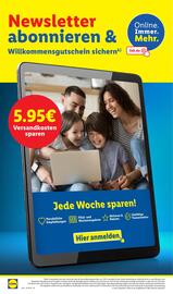 Lidl Prospekt woche 52 Seite 38