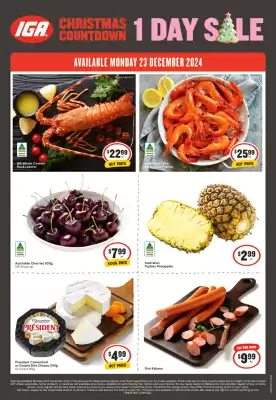 IGA catalogue (valid until 23-12)