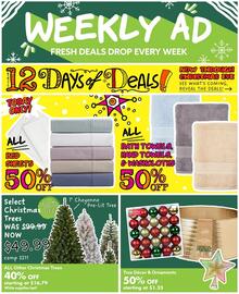 Big Lots Weekly Ad week 51 Page 1