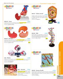 Volantino Borgione Sport Pagina 241