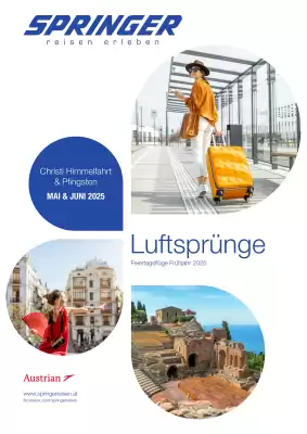 Springer Reisen Flugblatt (gültig bis 31-12)