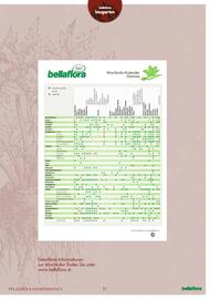 Bellaflora Flugblatt Seite 11