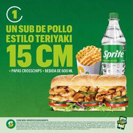 Catálogo Subway Página 2