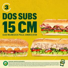 Catálogo Subway Página 4