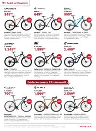 Fahrrad XXL Prospekt Seite 4