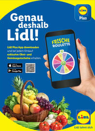 Lidl Flugblatt Seite 4