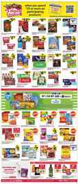 Winn Dixie Weekly Ad week 5 Page 3