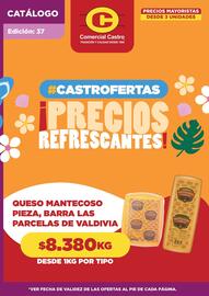 Catálogo Comercial Castro Página 1