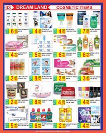 Dream Land Center catalogue Page 3