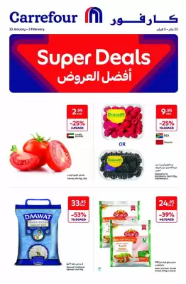 Carrefour catalogue (valid until 3-02)