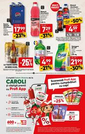 Catalog PROFI Pagină 5