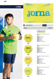 Joma leaflet Page 252