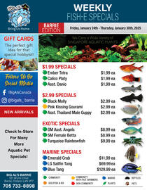 Big Al&#x27;s Pets flyer week 4 Page 1