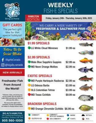 Big Al&#x27;s Pets flyer (valid until 30-01)