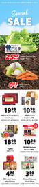 H-Mart flyer Page 5