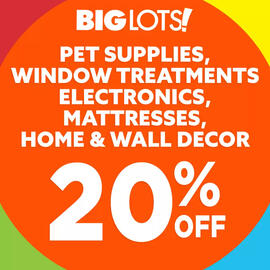 Big Lots Weekly Ad Page 2