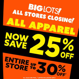 Big Lots Weekly Ad Page 6