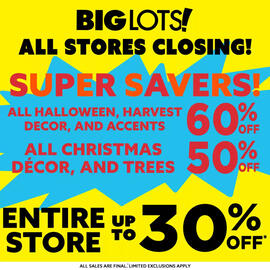 Big Lots Weekly Ad Page 7