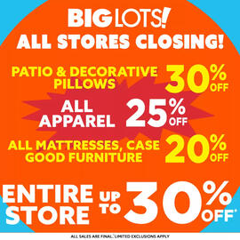 Big Lots Weekly Ad Page 8