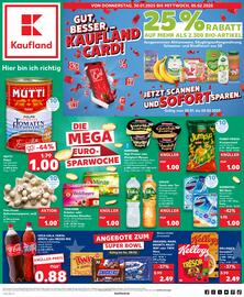 Kaufland DE folder week 5 Pagina 1