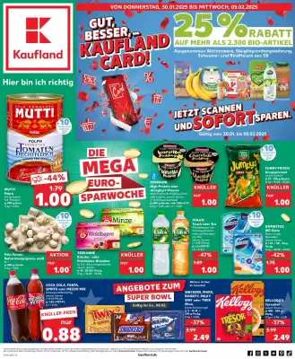 Kaufland Prospekt (gültig bis 5-02)