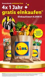 Lidl Prospekt woche 6 Seite 61