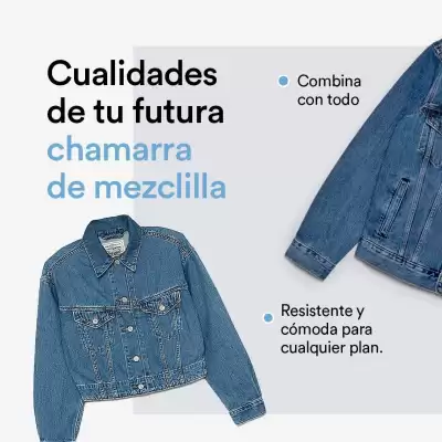 Catálogo Coppel (válido hasta 31-01)