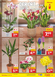 Netto Marken-Discount DE folder week 5 Pagina 23