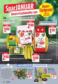 EDEKA Stralsund Prospekt woche 5 Seite 8