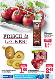 Scheck-in-Center Prospekt woche 5 Seite 14