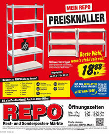 Repo Markt Prospekt Seite 7