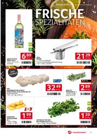 Transgourmet Flugblatt woche 6 Seite 17