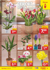 Netto Marken-Discount Prospekt woche 5 Seite 23