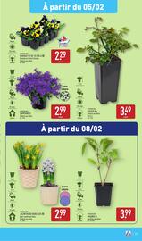 Catalogue ALDI semaine 6 page 36