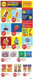 Lidl Weekly Ad week 5 Page 3