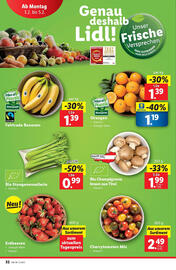 Lidl Flugblatt woche 5 Seite 36